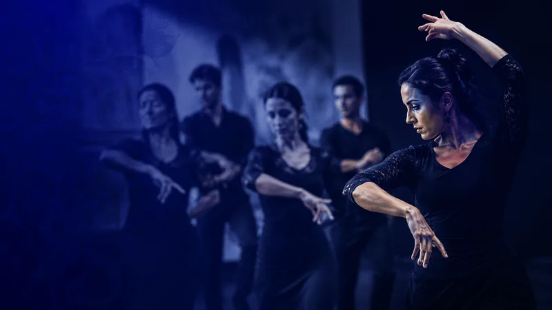Formación flamenco