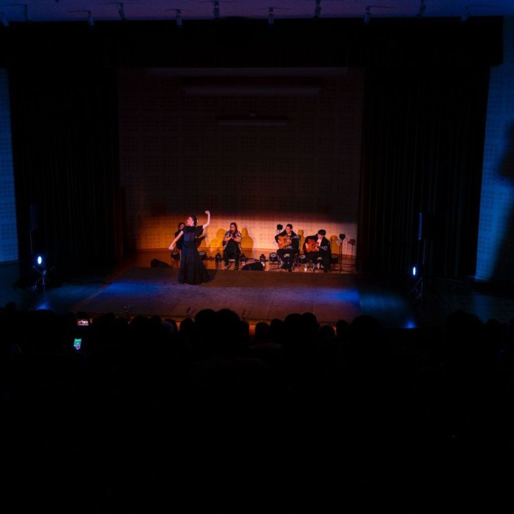 Espectáculo en escena durante el festival